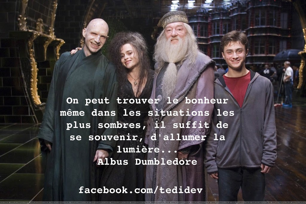 Citation Dalbus Dumbledore