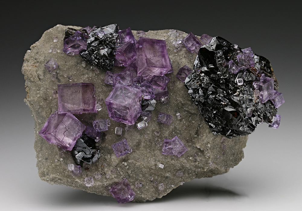  Pierre avec Fluorite violette avec zonage et sphalérite sur quartz drusy sur matrice calcaire.