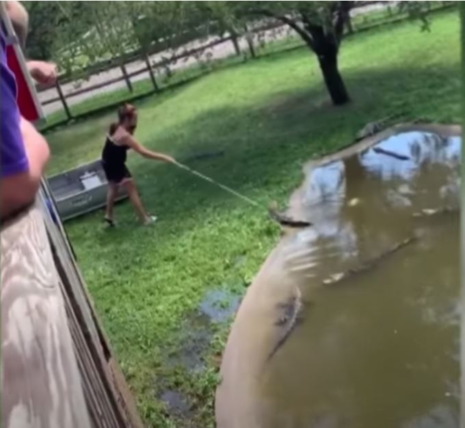 Buzz: Une femme entre dans la fosse d'alligators avec son fils pour prendre son portefeuille