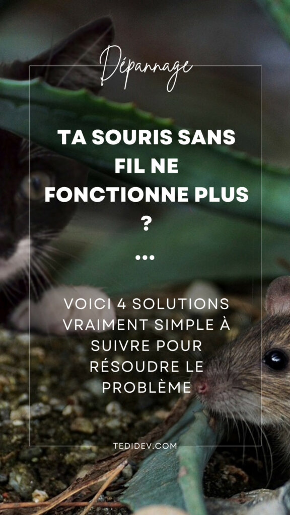 Ta souris sans fil ne fonctionne plus ? Voici 4 solutions vraiment simple à suivre pour résoudre le problème