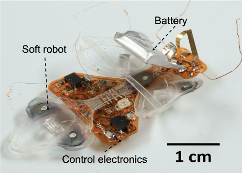Des chercheurs ont créés un robot indestructible de la taille d'une mouche