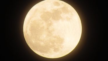 Esturgeon : La première pleine lune du mois d’Août a commencé