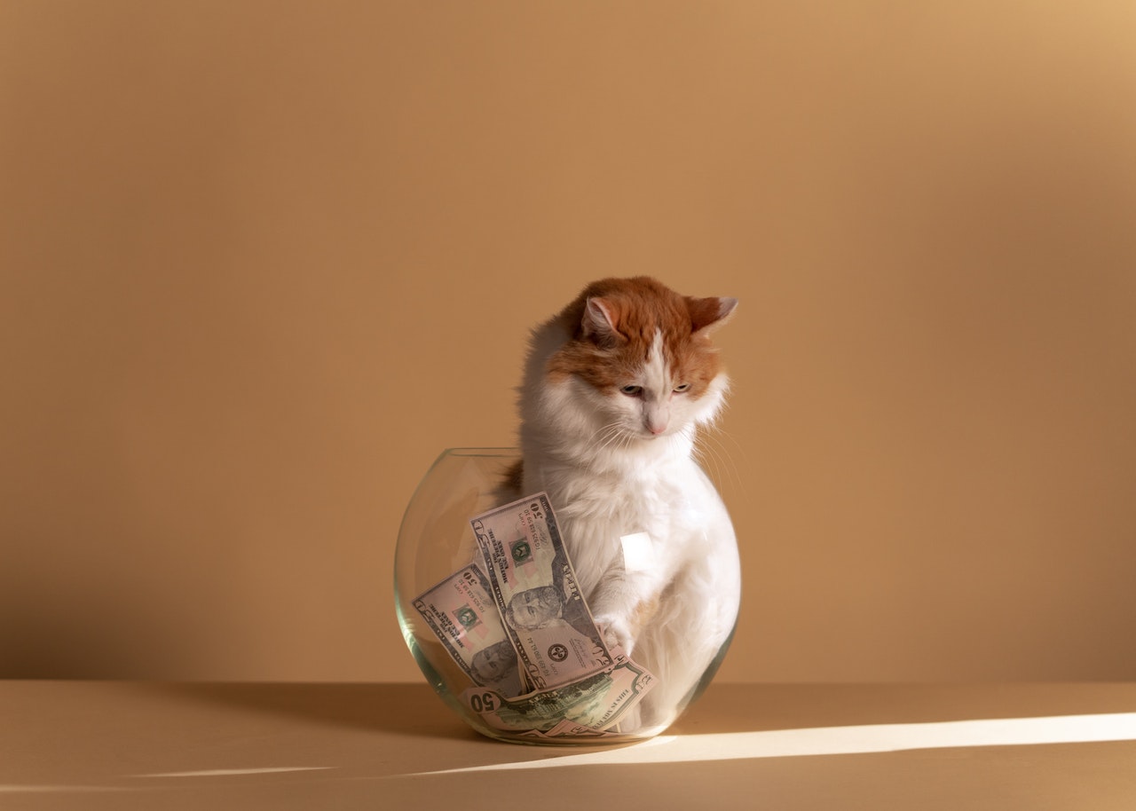 Comment se motiver pour améliorer ses finances